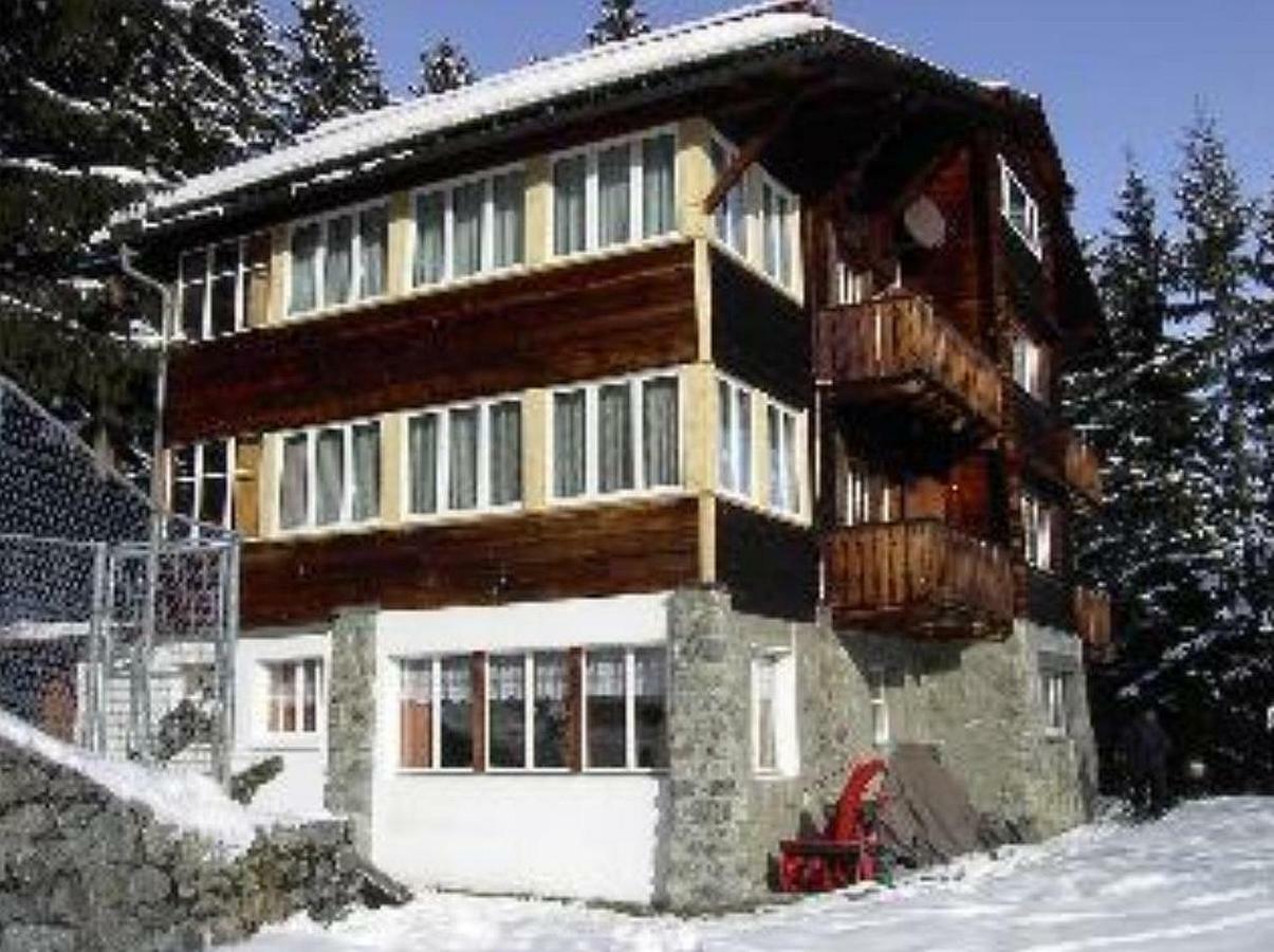 Chalet Suveran Apartment Arosa Exterior photo